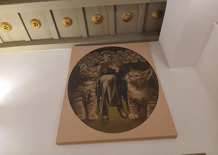 Excellent Trinity Bed & Breakfast